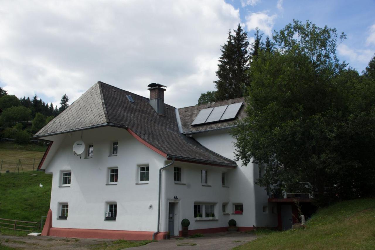 Zur Alten Oele - Hochwertig Und Familienfreundlich Lenzkirch Dış mekan fotoğraf